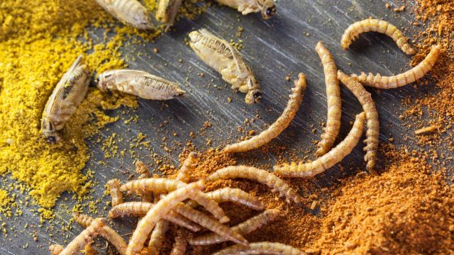 Lauterbach warnt vor unheilbarer Immunschwäche durch Corona