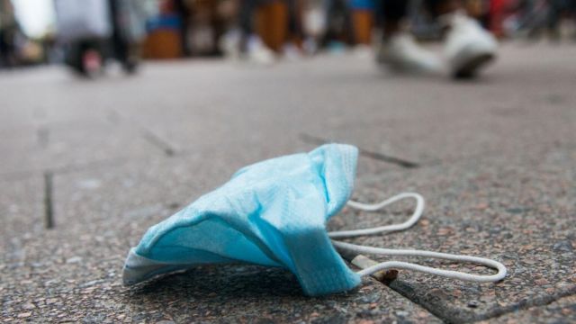 Außerirdische Lebensform: Der Irdische - WELT