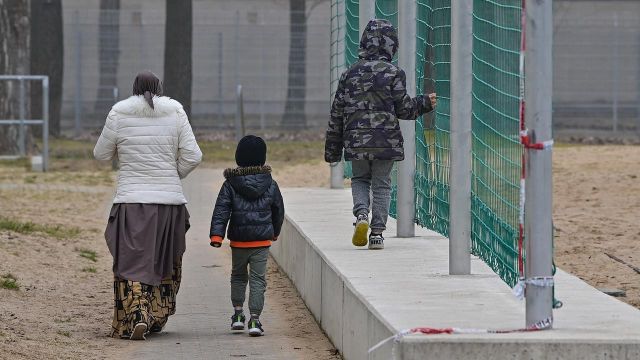 Abschüsse von Wölfen sollen leichter werden: Grünen-Ministerin plant neues Gesetz